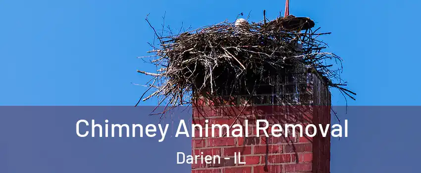  Chimney Animal Removal Darien - IL