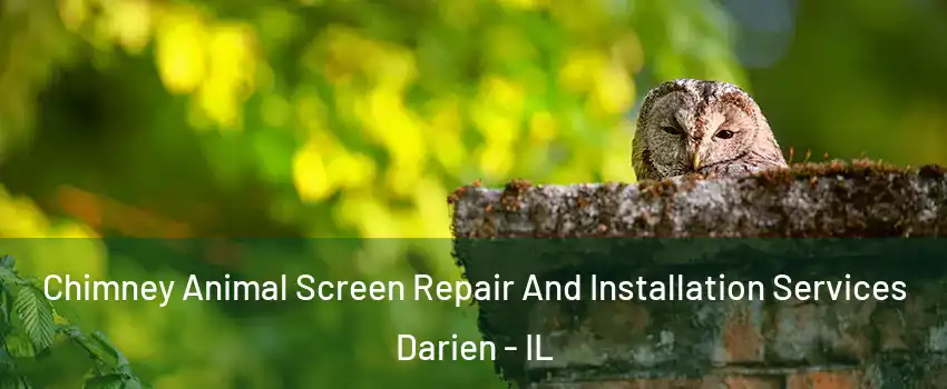  Chimney Animal Screen Repair And Installation Services Darien - IL