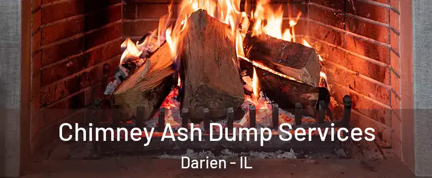  Chimney Ash Dump Services Darien - IL