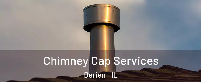  Chimney Cap Services Darien - IL