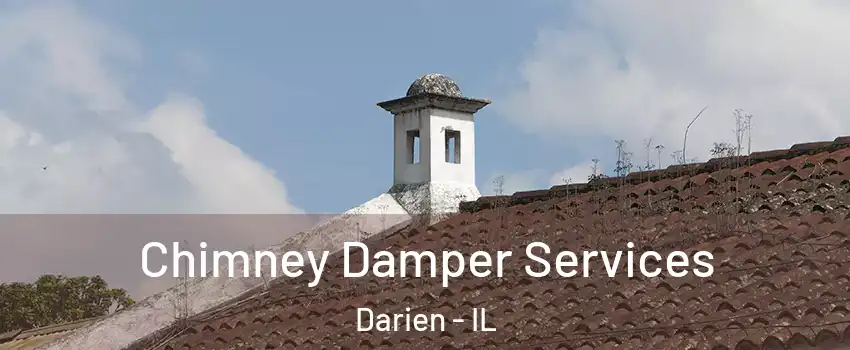  Chimney Damper Services Darien - IL