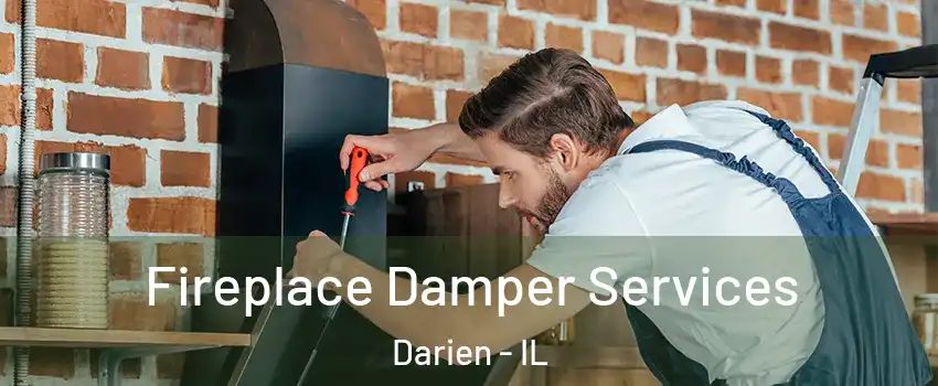  Fireplace Damper Services Darien - IL