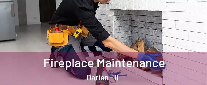  Fireplace Maintenance Darien - IL