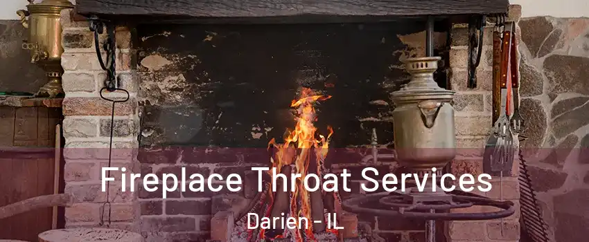  Fireplace Throat Services Darien - IL