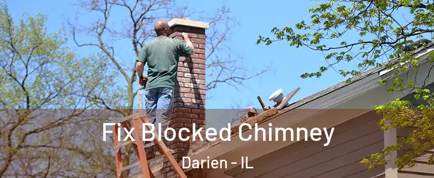  Fix Blocked Chimney Darien - IL