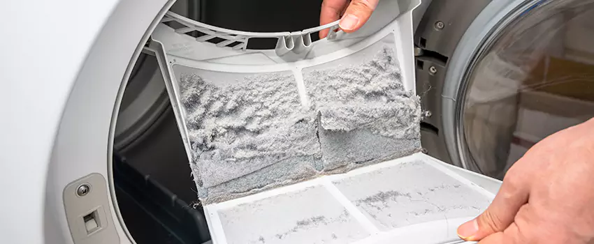 Best Dryer Lint Removal Company in Darien, Illinois