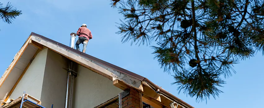Birds Removal Contractors from Chimney in Darien, IL