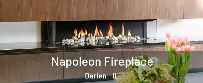  Napoleon Fireplace Darien - IL